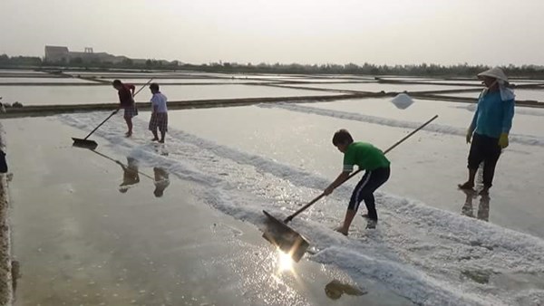 một ngày làm diêm dân.jpg